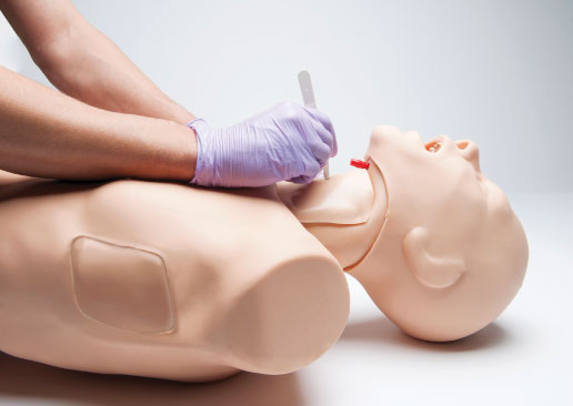 Truman Cric Simulator